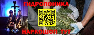 стафф Абакан